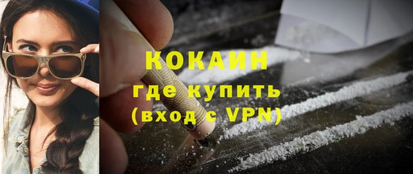 эйфоретик Бородино