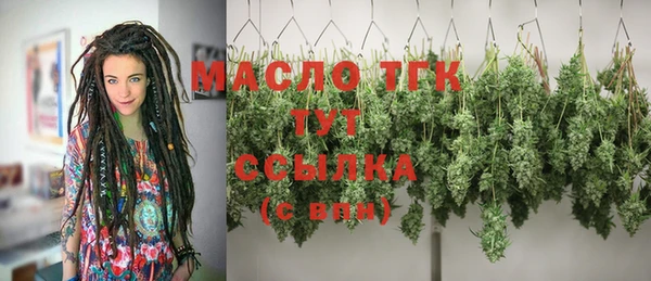 эйфоретик Бородино