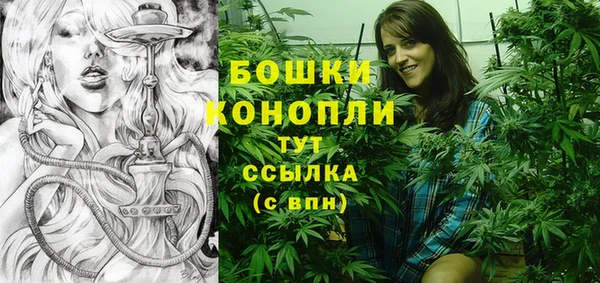 эйфоретик Бородино