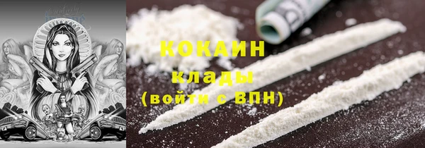 эйфоретик Бородино