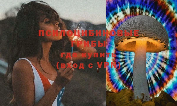 Альфа ПВП Елабуга